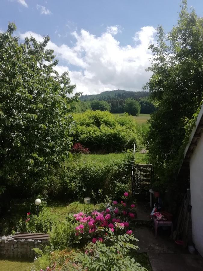 Penzion Pohoda - Apartmany Jeseník Exteriör bild